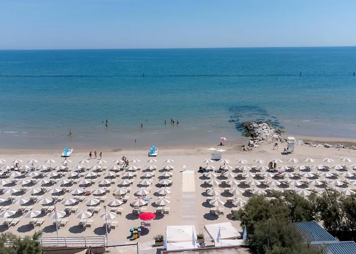 Club Del Sole Stork Family Collection