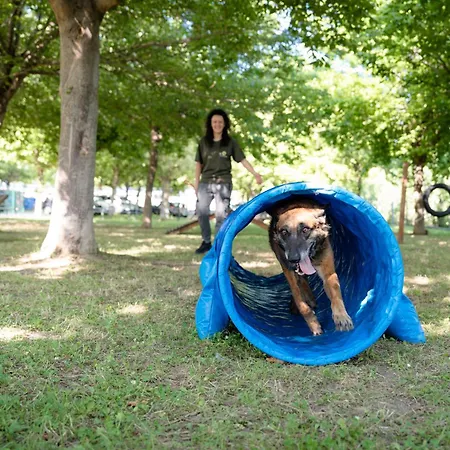 Club Del Sole Stork Family Collection