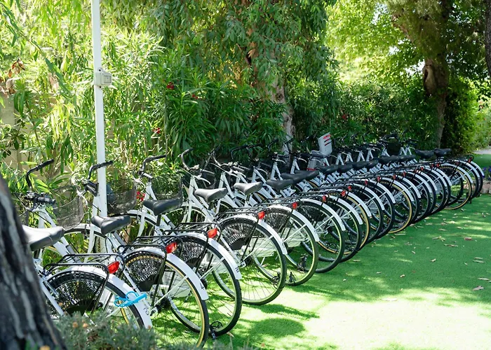 Parco vacanze Club Del Sole Stork Family Collection 4*