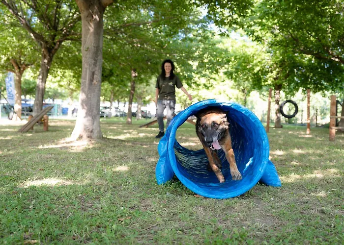 Club Del Sole Stork Family Collection